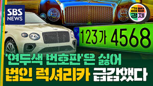 연두색 번호판은 싫어 법인 럭셔리카 급감했다