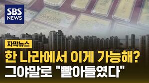 [자막뉴스] 한 나라에서 이게 가능해?…그야말로 "빨아들였다"