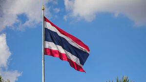 중국 범죄단지 두목 등, 태국교도소서 '황제 수감생활'&hellip;성매매도