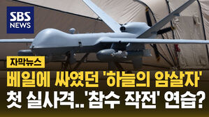 베일에 싸였던 하늘의 암살자 첫 실사격 참수 작전 연습?