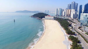 "사람 같은데" 접수된 신고…'신원 미상' 여성 시신 발견