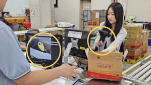 소포 물품 사진 서비스(사진=우정사업본부 제공)
