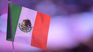 멕시코서 마약밀매 카르텔 범죄 보도한 현지기자 피살