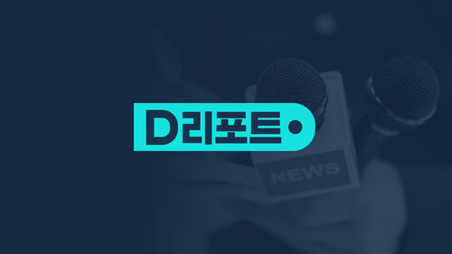 D리포트