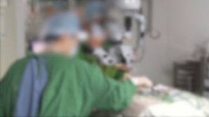 손가락 환자 손목 절개&hellip;정형외과 병원장 징역형