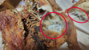 구더기 치킨(사진=온라인 커뮤니티)