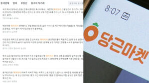 당근마켓 사기 수법 (사진=당근마켓 홈페이지 캡처)