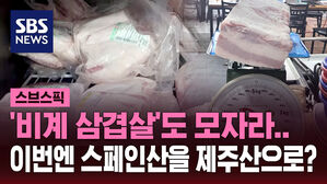 [스브스픽] 이번엔 '짝퉁 제주 돼지'…수입산 속여 판 식당 적발
