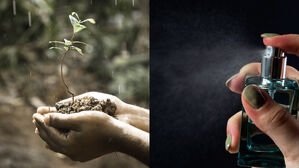 비 냄새 유발 물질로 향수 생산 기술 개발 (사진=국립호남권생물자원관, 픽사베이)