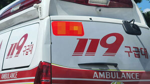 정선 하천서 50대 추정 여성 숨진 채 발견