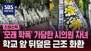 [스브스픽] "자식도 못 돌보는데"…시의원 자녀 '모래 학폭'에 분노한 분당 학부모들