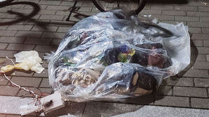 북한, 열흘 만에 대남 오물 풍선 띄워