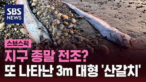 [스브스픽] 지구 종말 전조? 또 나타난 심해어