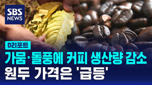 [D리포트] 가뭄&middot;돌풍에 커피 생산량 감소&hellip;원두 가격은 '급등'