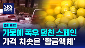 [D리포트] 가뭄에 폭우 덮친 스페인&hellip;가격 치솟은 '황금액체'