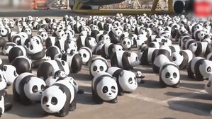 "판다 떼 장관"…공항 곳곳 자리잡은 조각 2,500개