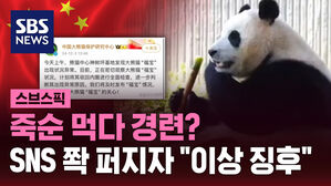 [스브스픽] 죽순 먹다 경련?  SNS 쫙 퍼지자 "이상 징후"