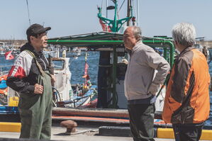 [씨네멘터리] 아침바다 갈매기는 '이유'가 아니라 '사정'이 있다