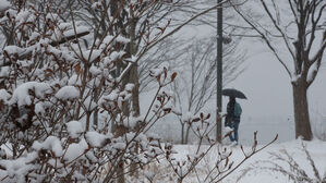 [날씨] 눈 오늘 밤 그쳐…충남권 등 짙은 안개