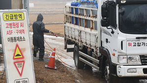 전남 화순 삵 폐사체서 AI 항원 검출…국내 첫 사례