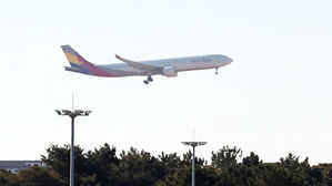 "낙하산 내놔" 비상문 향해 돌진&hellip;운항 중 항공기서 난동