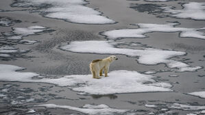 러시아-북극-기후-코페르니쿠스(사진=AP, 연합뉴스)