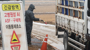 경기 양주시 양돈농장서 ASF…올해 세 번째 사례
