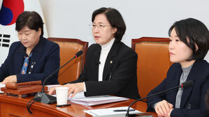 민주당 내란진상조사단 회의(사진=연합뉴스)