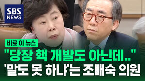 [바로이뉴스] "당장 핵 개발도 아닌데&hellip;" '얘기는 할 수 있지 않느냐"는 조배숙 국민의힘 의원