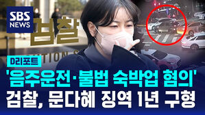 [D리포트] '음주운전&middot;불법 숙박업 혐의' 문다혜 징역 1년 구형