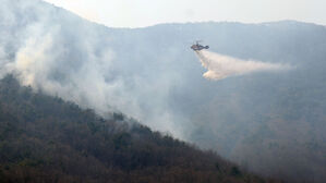 정부, 산불 피해 지역 긴급금융지원…"금융상담센터 설치"
