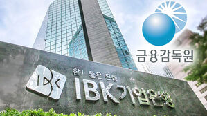 감사원이 금감원에 돌을 던져도 되는 걸까 [취재파일]