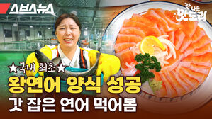 스브스뉴스 갓 나온 맛도리 국내 최초 왕연어 양식 성공 갓 잡은 연어 먹어봄