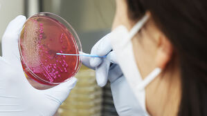 부산 분식점서 손님 190여 명 식중독 증상…당국 역학조사