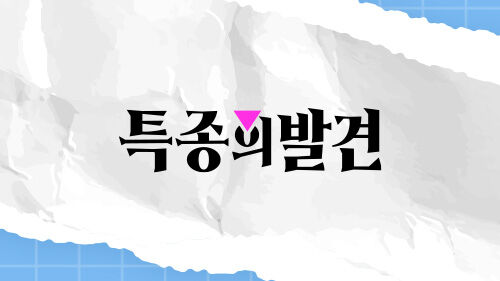 특종의 발견