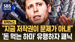 [자막뉴스] "지금 저작권이 문제가 아냐!"&hellip;'돈 먹는 하마' 유행하자 패닉