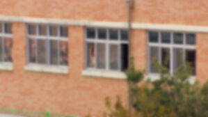 교사에 살충제 뿌린 귤 건넸는데…"고의 없음" 판단 논란