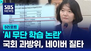 [D리포트] 국회 과방위, 'AI 무단 학습 논란' 네이버 질타