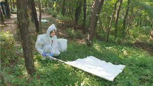 참진드기가 매개하는 SFTS 환자 올해 220명…5년 만에 최다