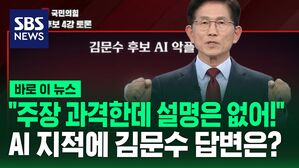 "주장 과격한데 설명은 없어!"  AI 지적에 김문수 답변은?