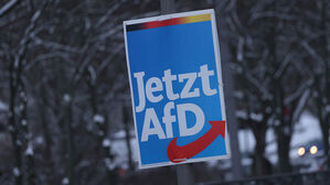 독 법원 "독일대안당, 현재로선 '우익 극단주의 단체' 규정 불가"