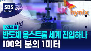 [D리포트] 100억 분의 1미터&hellip;반도체 옹스트롬 세계 진입하나