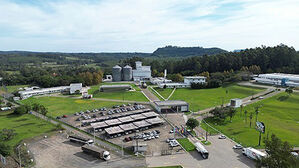 브라질 양계장서 고병원성 AI 발생&hellip;한국, 닭고기 수입 전면 금지