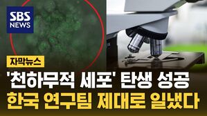 자막뉴스 천하무적 세포