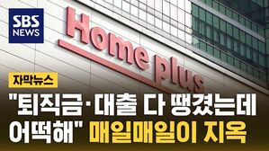 자막뉴스 홈플러스