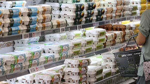 대형마트에 진열된 달걀