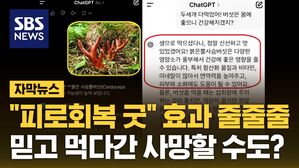 자막뉴스 AI 버섯