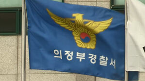 "백미러 보다가"…의정부서 신혼부부 친 트럭기사 구속송치