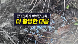 [뉴블더] 무고한 강아지들에게 비비탄 난사에 이어 협박까지?