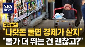 [자막뉴스] "나랏돈 풀면 경제가 살지"&hellip;"물가 더 뛰는 건 괜찮고?"